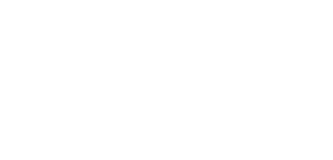 Pizi logo